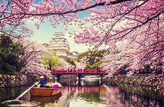 Japan at Himeji Castle in Cherry Blossom season