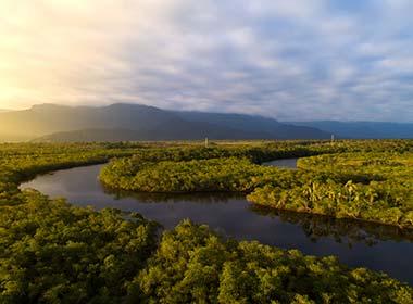 overlooking amazon river in amazon rainforest brazil