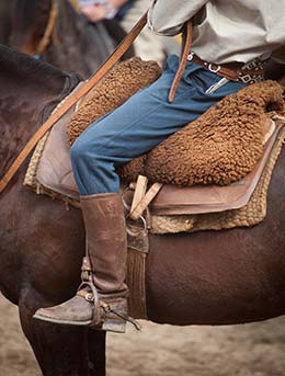 cowboys on horses for festa do peao cowboy festival in brazil