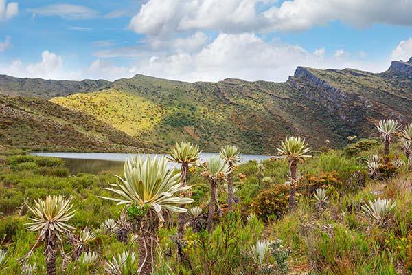 exploring colombias mountains green hills and poinds in chingaza national park