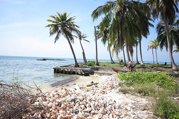 white beach palm trees and grass best national parks in colombia rosario and san bernado corals national park