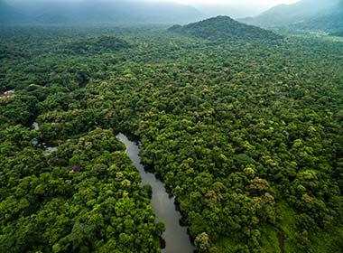 visit leticia in the amazon rainforest on a colombia tour