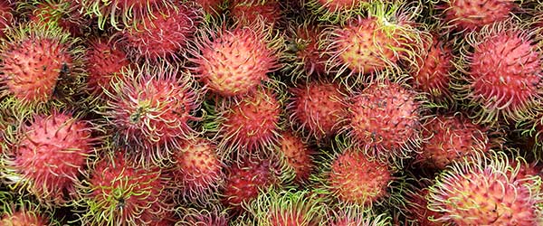 food to try in costa rica a pile of lychee fruit