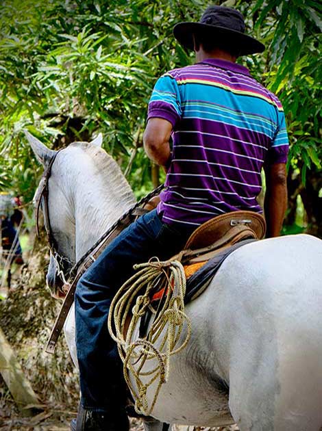 Man riding a horse in traditional Costa Rican style in Costa Rica