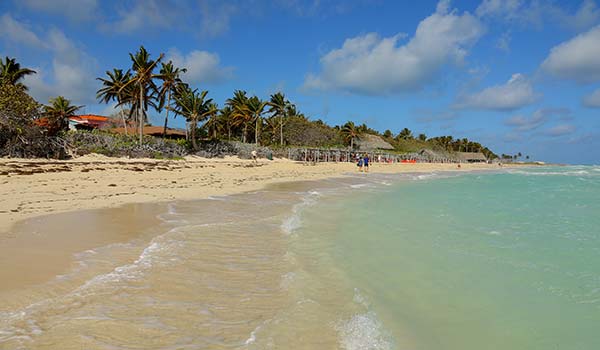 beige beach with palm trees rocks and green clear sea playa pilar in cuba