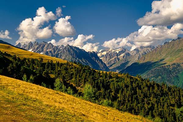 beautiful forests grasslands and mountains in kazbegi national park georgia