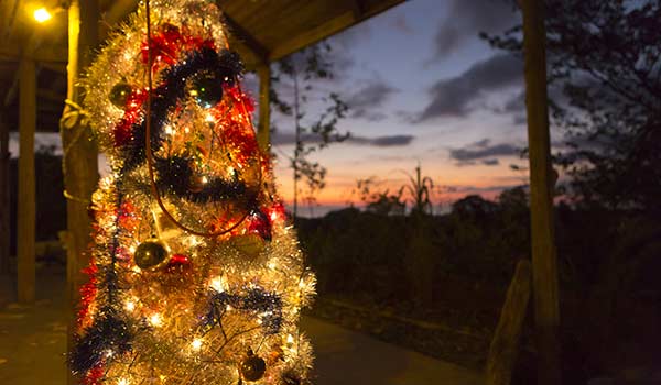 A decorated Christmas tree for the Christmas holidays in Iceland