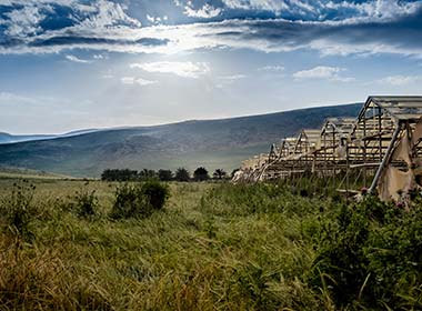 countryside of jordan al-ghor fields trees and greenery