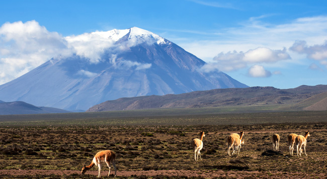 Climbing El Misti is a challenge that immerses you into Andean nature