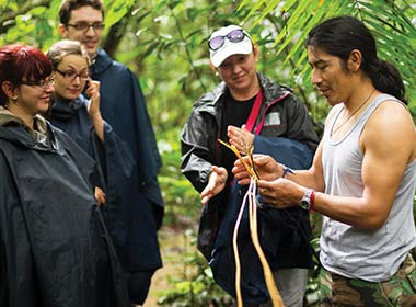 tour guide shows tourists through the amazon jungle national park wildlife rainforest for a unique vacation