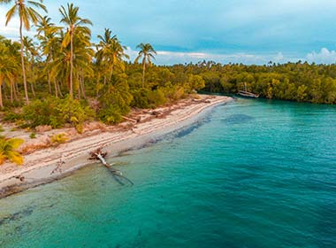 secluded beach with palm trees and bush lining the beach on mafia island