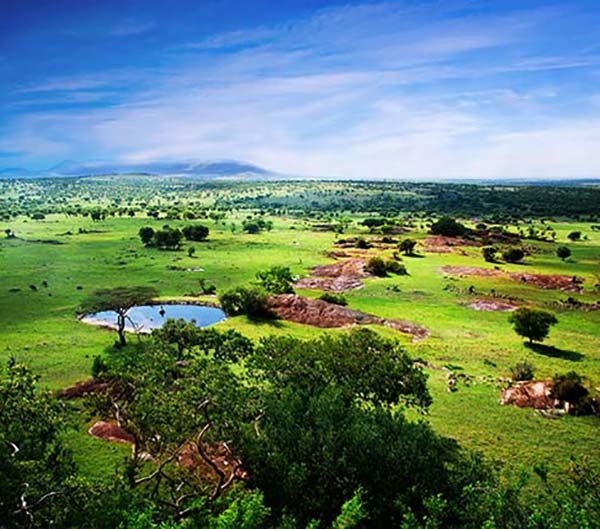 best time to visit the Serengeti in Tanzania the great migration