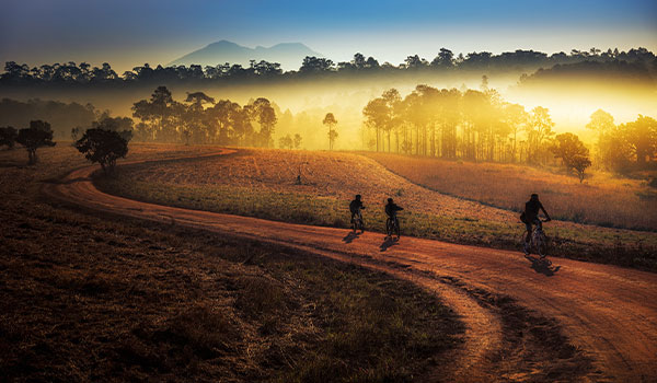 biking is a great way to see some of the Thai countryside