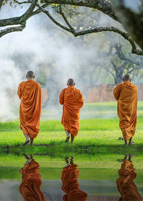 Monks in Thailand walking across the grass with their backs to the camera