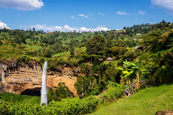 green vegetation and waterfall in mount elgon national park in uganda