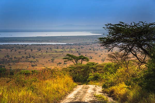 road looking over queen elizabeth national park in uganda