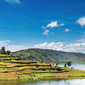 lakes and green terraces in Uganda