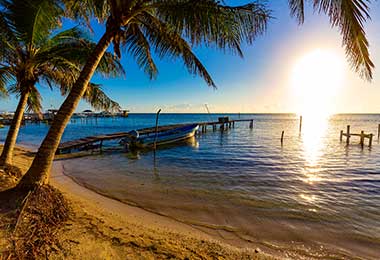 Lush beach in Belize