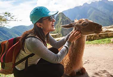 Llama in front of Machu Picchu, Peru