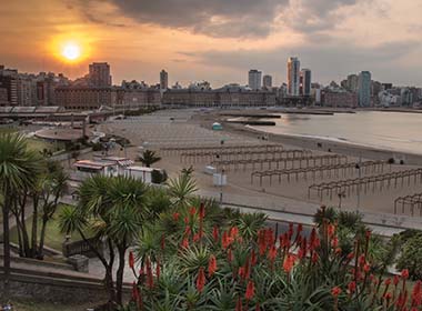 city skyline palm trees at night on the beach in mar del plata argentina