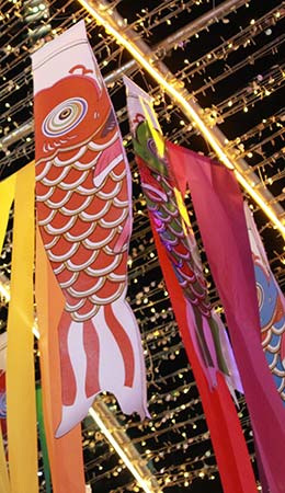 good luck fish decorations and ribbons for golden week celebrations in japan