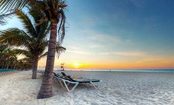 paradise beach with palm trees and white sand in Mexico