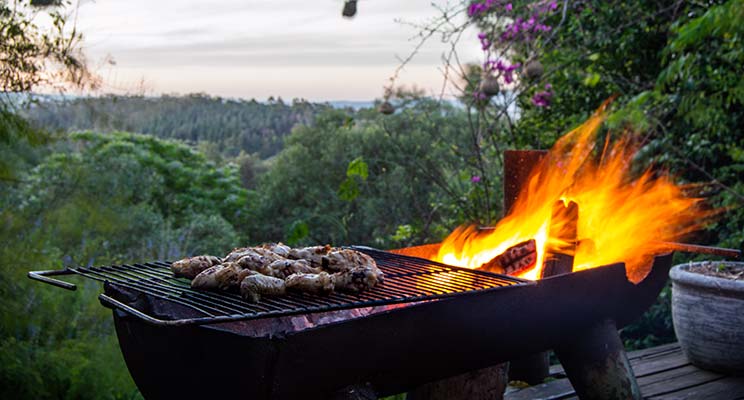 cooking meat on a south african bbq called braai with forest in background