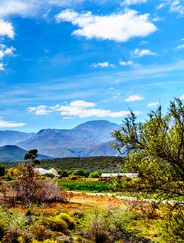 Klein karoo countryside in south africa events