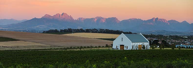 house in a vineyard in the winelands south africa during sunset