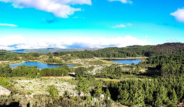 green landscape and naural lakes in nyanga national park zimbabwe