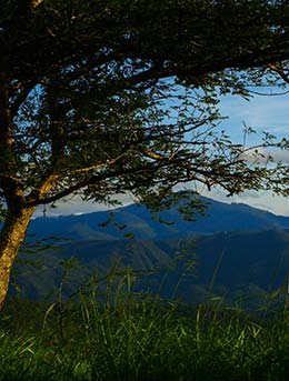 View of chimanimani in the eastern highlands of zimbabwe