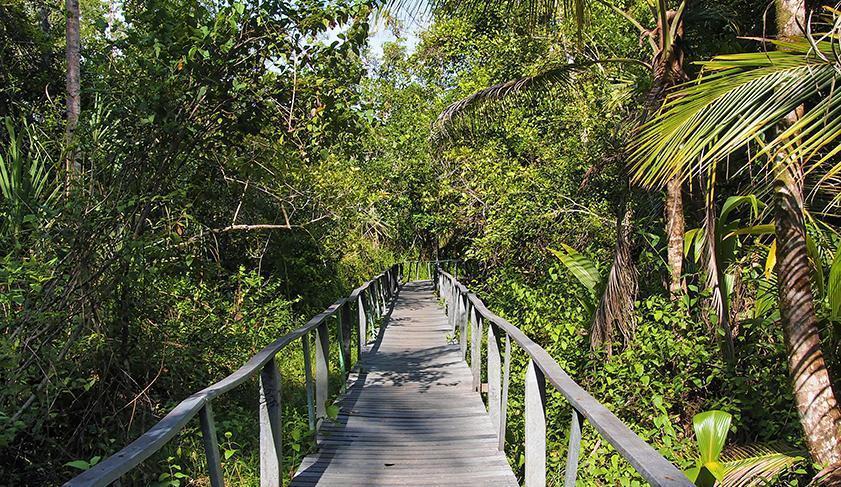 Walkways through Cahuita National Park, Costa Rica