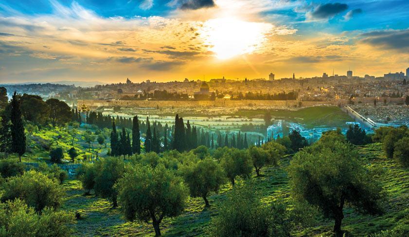 View of the Old City Jerusalem from the Mount of Olives with olive trees in the foreground