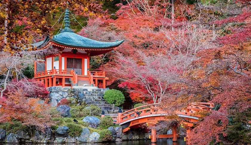 Autumn leaves falling on a Pagoda, Japan