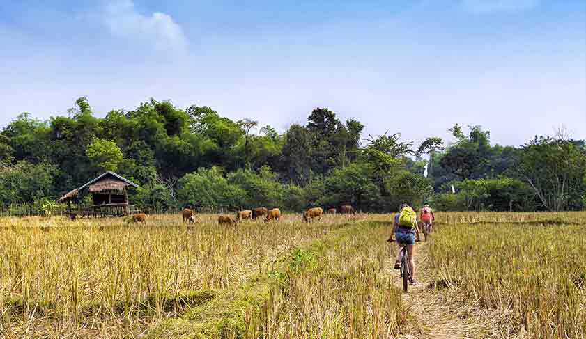 Cycling through the Laos countryside