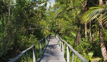 Walkways through Cahuita National Park, Costa Rica