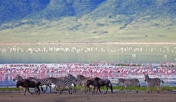 Animals congregating around Makat Lake in the Ngorongoro Crater, Tanzania