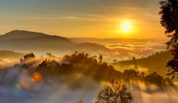 Uganda sunrise with trees, hills, shadows and morning fog